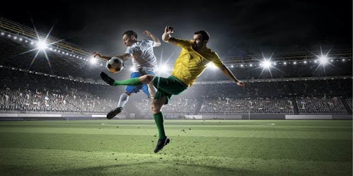 Bookmaker Odds